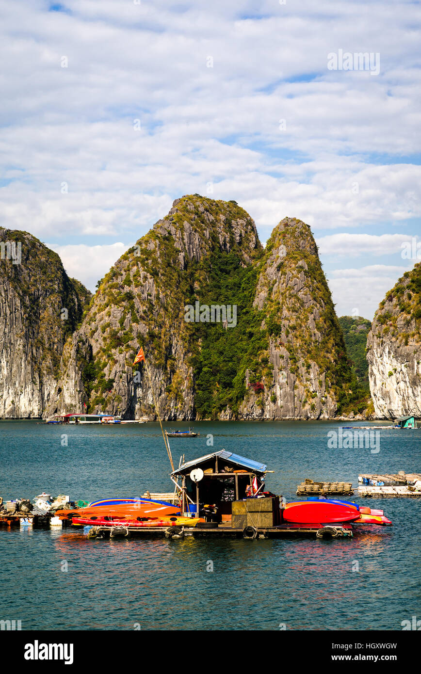 Die wunderbare Halong-Bucht, UNESCO-Welterbe in Vietnam Stockfoto