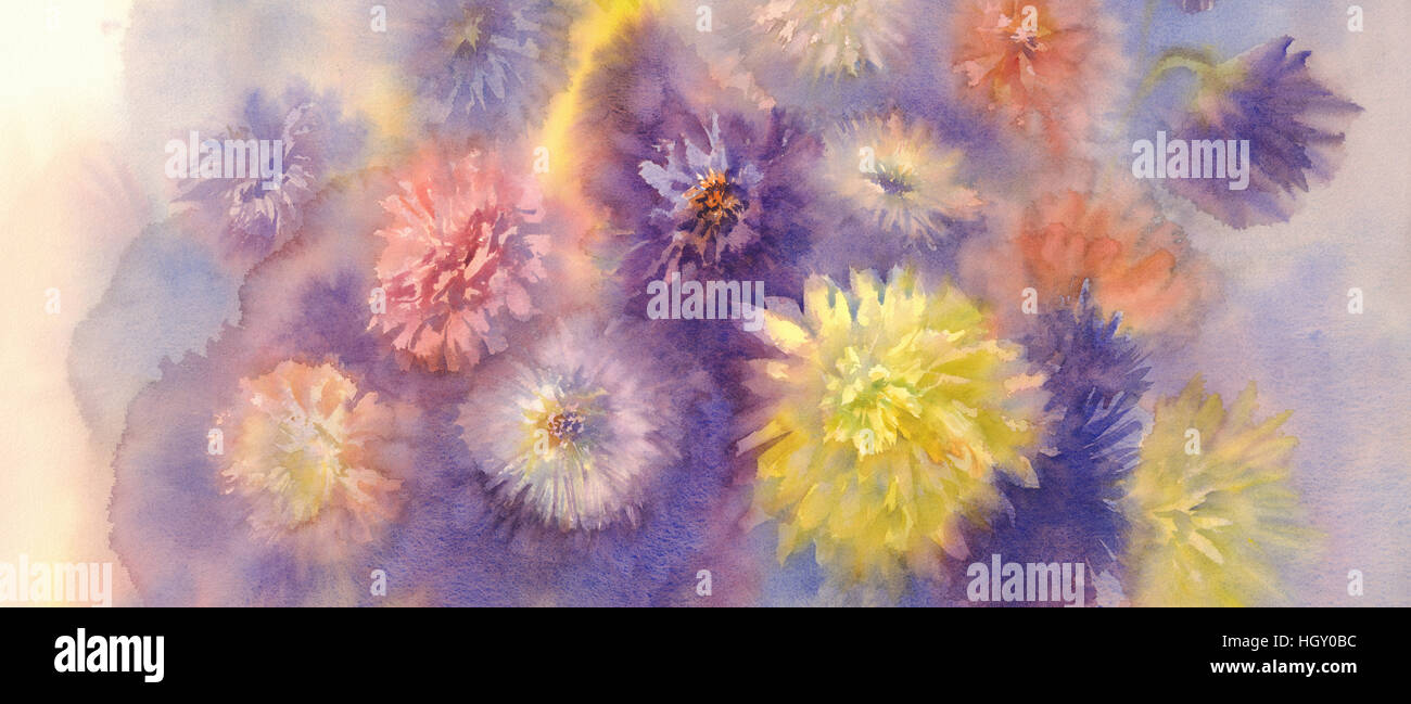 Farbe Astern Aquarell Hintergrund Stockfoto