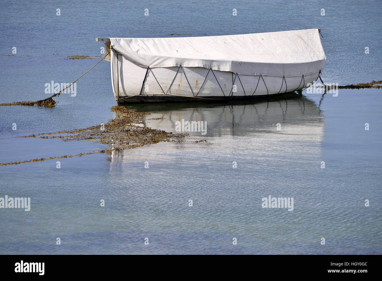 Bedeckt von weißen kleinen Boot auf dem Meer in der Bretagne in Frankreich Stockfoto
