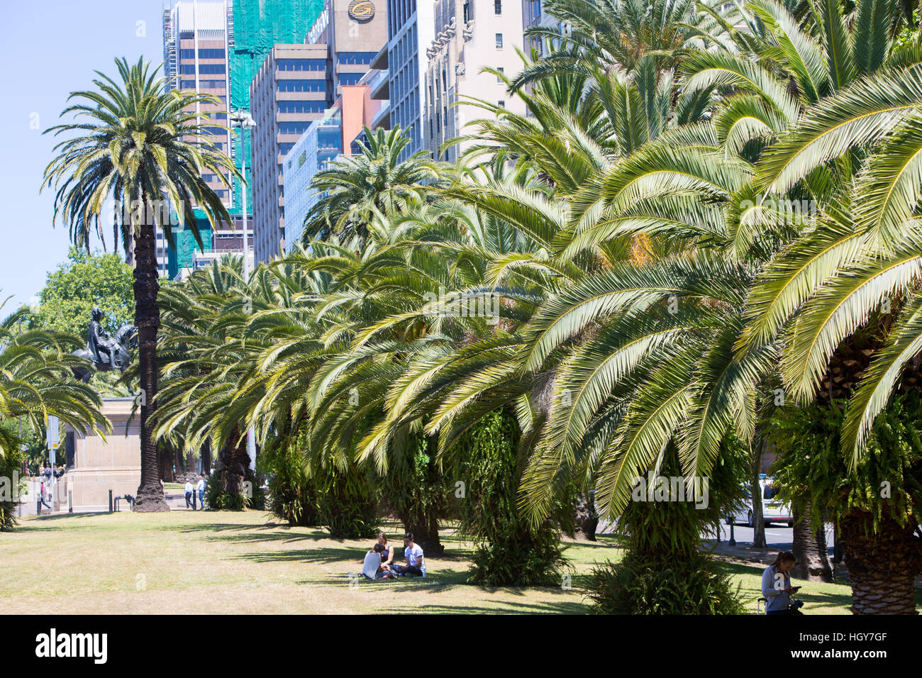 Palmen in einer Linie entlang der Macquarie Street in Sydney zentraler Geschäftsbezirk, new-South.Wales, Australien Stockfoto