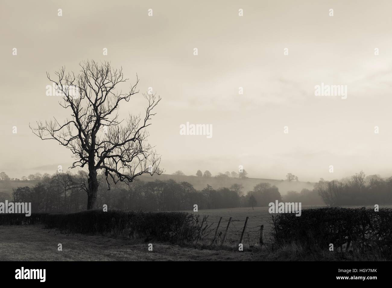 Foggy Tag auf Wales und trübe Sonne diese erstaunliche Landschaft Nationalparks Stockfoto