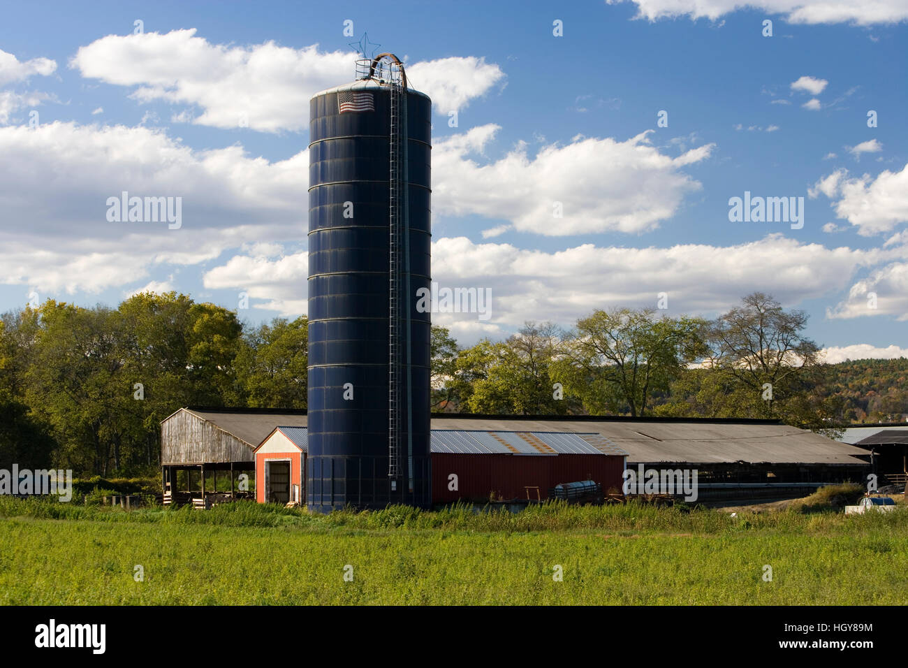 Einem Silo auf sumpfige Wiese Bauernhof in Walpole, New Hampshire. Stockfoto