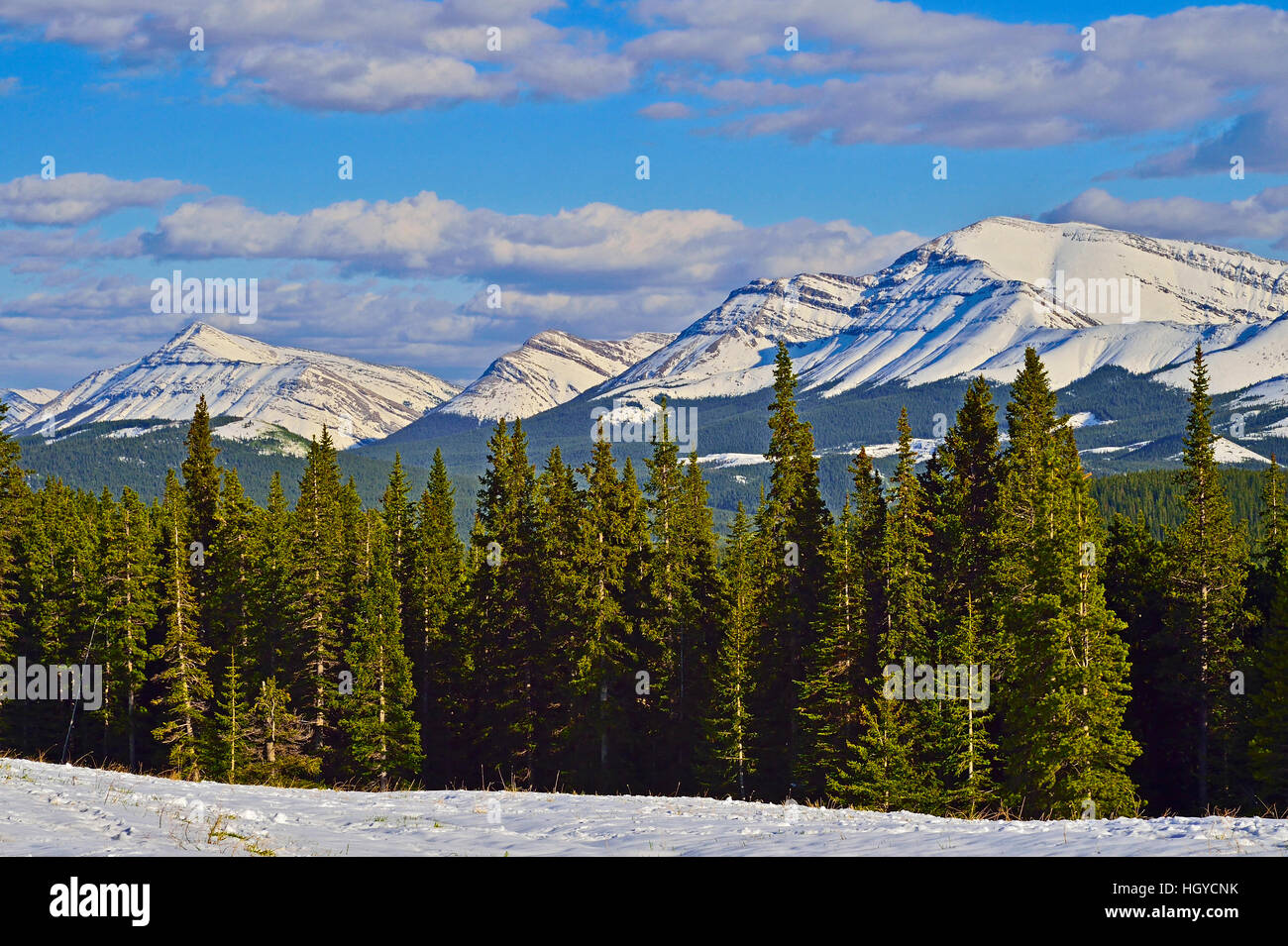 Die Rocky Mountains von Alberta, Kanada Stockfoto