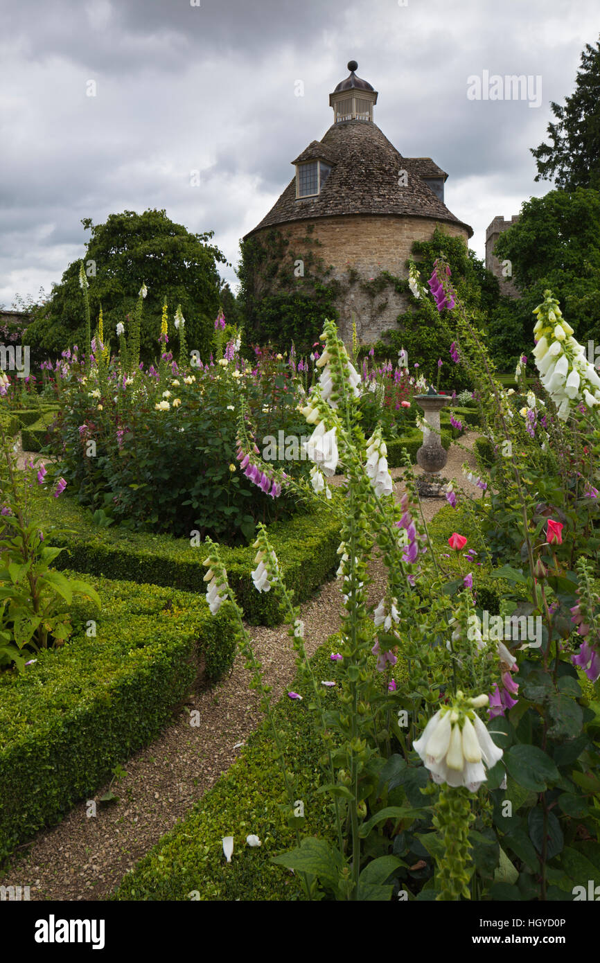 Fingerhut und Rosen wachsen im rose Parterre neben stilvollen 17. Jahrhundert Taubenschlag, Rousham House, Oxfordshire, England Stockfoto
