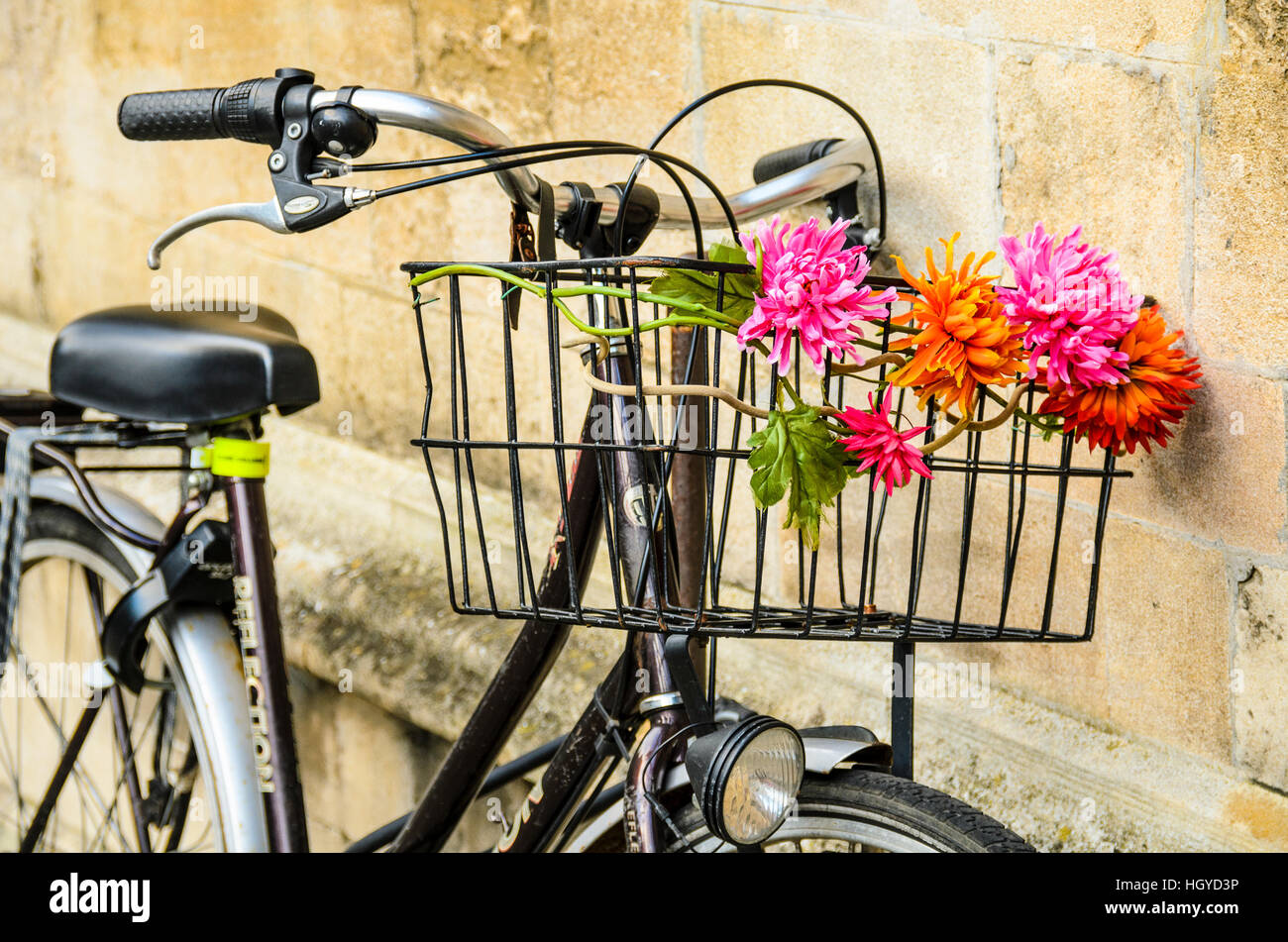 Künstliche Blumen auf den Korb eines Fahrrades in Cambridge England Stockfoto