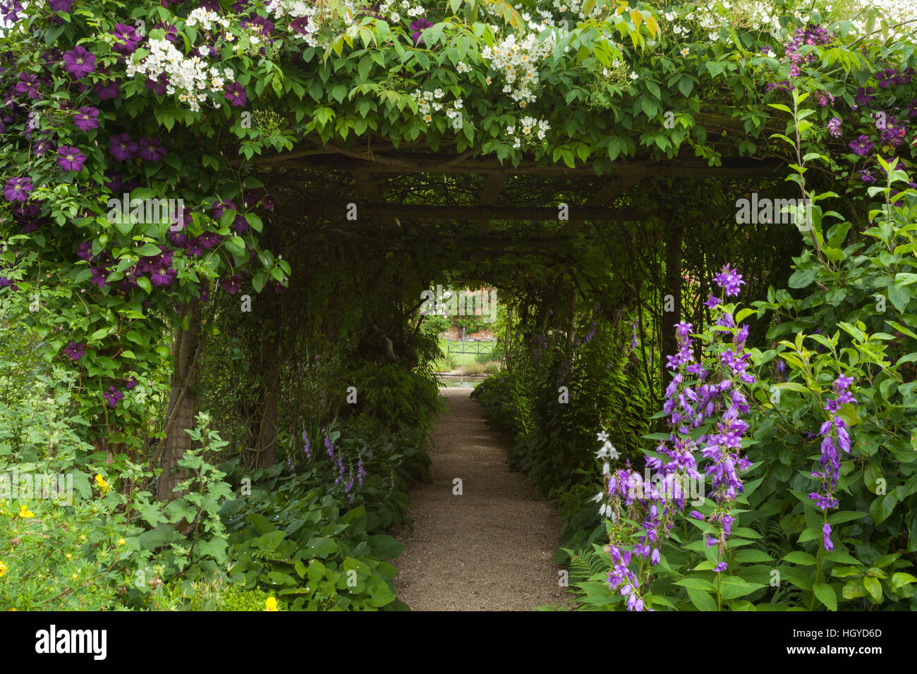 Clematis haus Fotos und Bildmaterial in hoher Auflösung Alamy