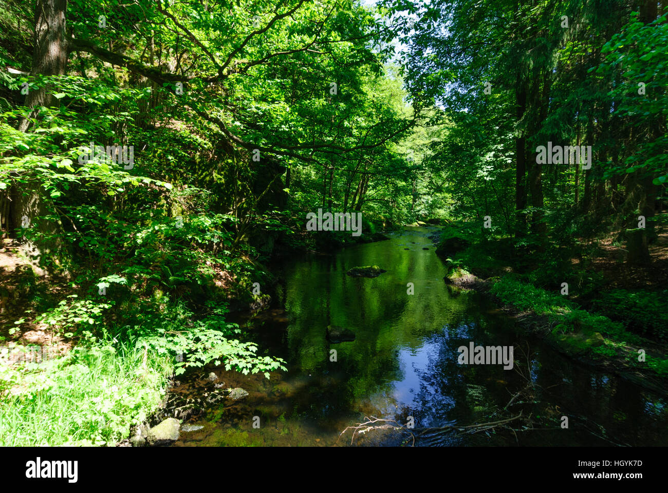 Stromtrieb im tal triebtal Fotos und Bildmaterial in hoher Auflösung
