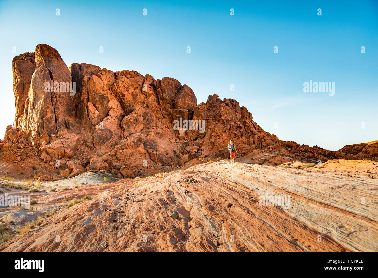 Junger Mann Wandern, roten Felsformationen aus Sandstein, Valley of Fire, Mojave-Wüste, Nevada, USA Stockfoto
