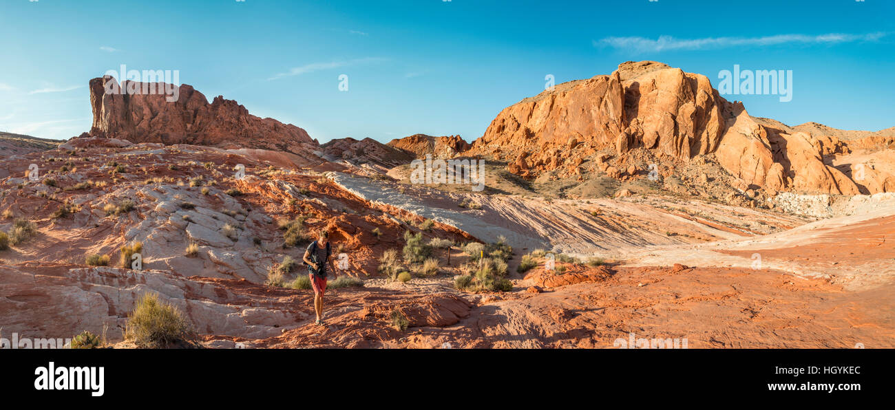 Junger Mann Wandern, roten Felsformationen aus Sandstein, Valley of Fire, Mojave-Wüste, Nevada, USA Stockfoto