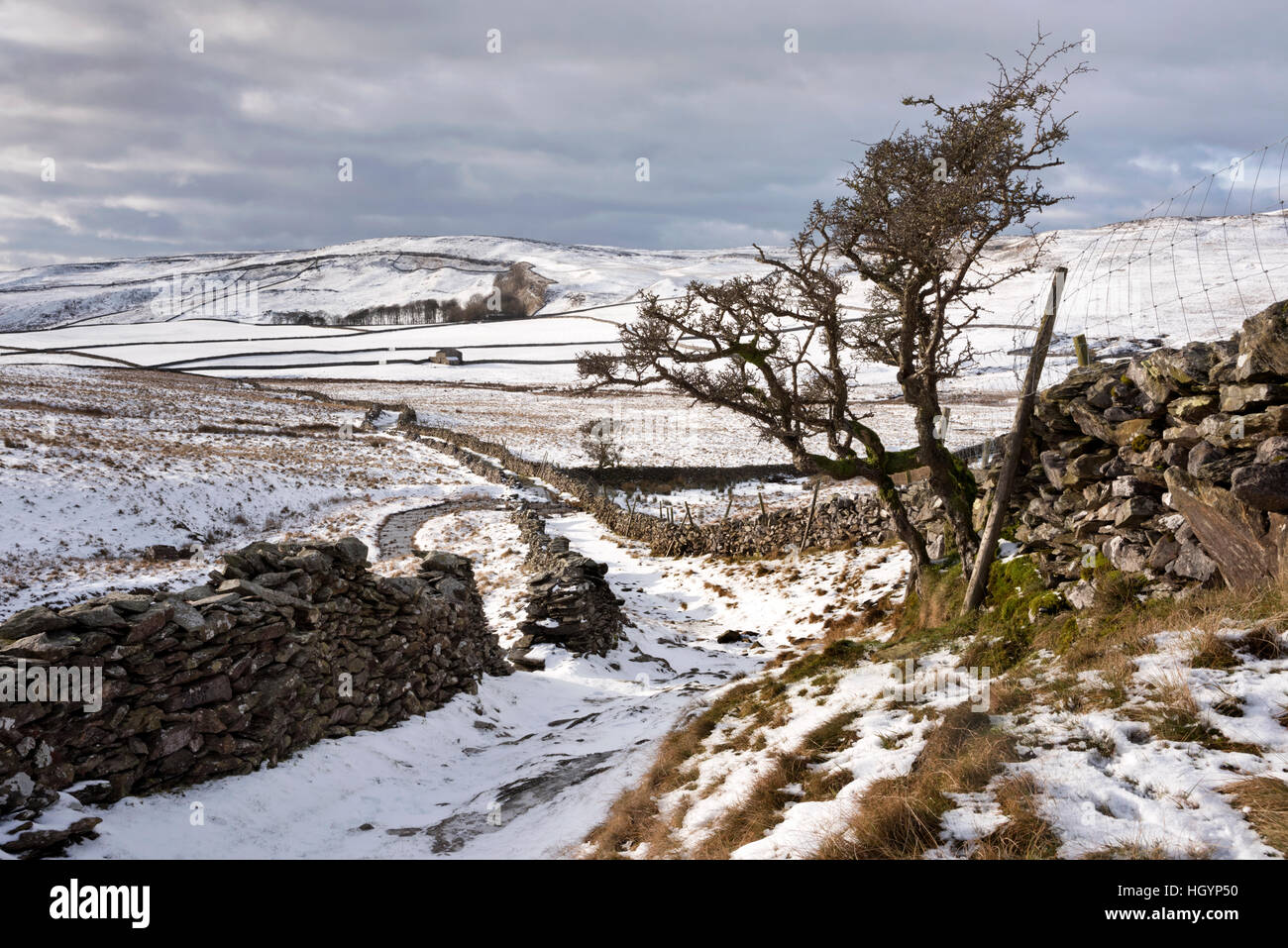 Altes Trackway in Crummack Dale, Austwick, North Yorkshire, Yorkshire Dales National Park, UK Stockfoto