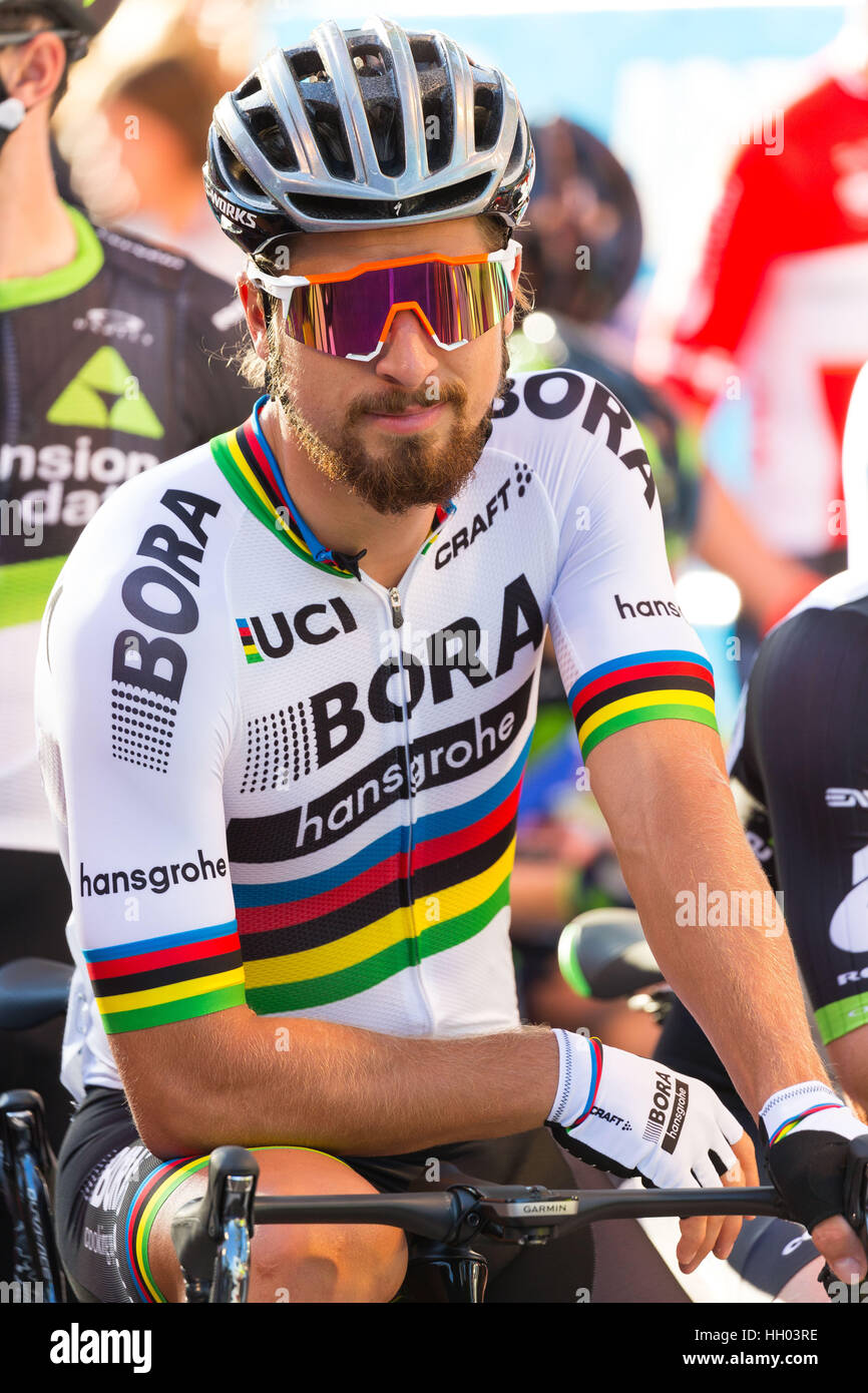 Adelaide, South Australia, Australien. 14. Januar 2017. Peter Sagan, Bora Hansgrohe an der Startlinie, Peoples Choice Classic 22 Runden, 50,6 km Rennen als warm up für die Tour Down Under, Australien am 15. Januar 2017 Credit: Gary Francis/ZUMA Draht/Alamy Live News Stockfoto