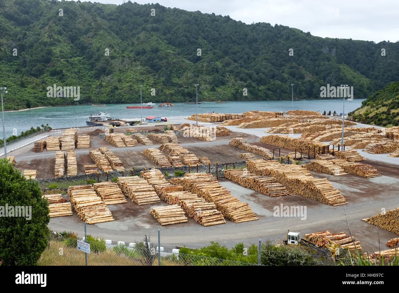 Ein Holzlager in Picton, Neuseeland. Stockfoto