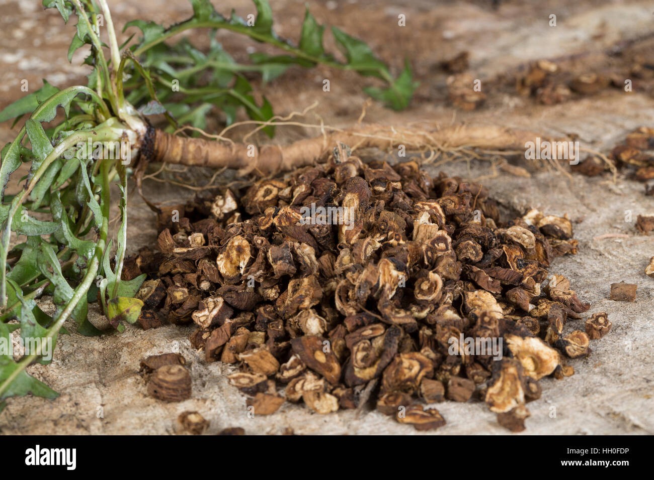 Wurzeltee aus Gerösteten Wurzeln, Löwenzahn-Kaffee, Löwenzahn-Tee, Heiltee, Kräutertee, Tee, Löwenzahn-Wurzel, Löwenzahn-Wurzeln, Löwenzahnwurzel, Löw Stockfoto