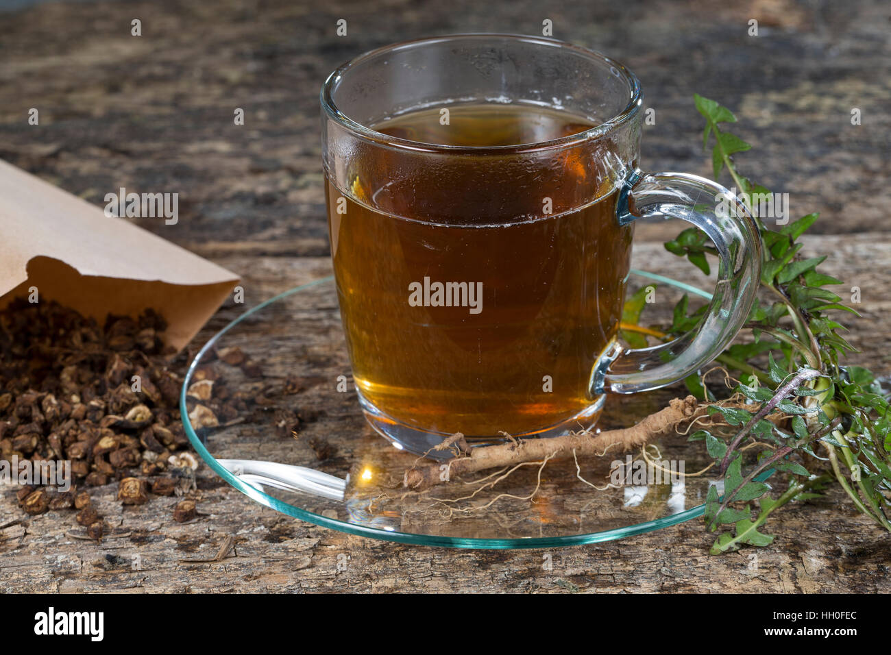 Löwenzahn-Tee, Heiltee, Kräutertee, Löwenzahn-Kaffee, Tee, Wurzeltee aus Gerösteten Wurzeln, Löwenzahn-Wurzel, Löwenzahn-Wurzeln, Löwenzahnwurzel, Löw Stockfoto