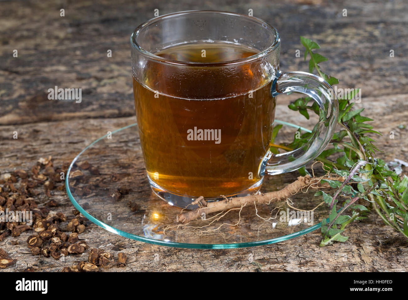 Löwenzahn-Tee, Heiltee, Kräutertee, Löwenzahn-Kaffee, Tee, Wurzeltee aus Gerösteten Wurzeln, Löwenzahn-Wurzel, Löwenzahn-Wurzeln, Löwenzahnwurzel, Löw Stockfoto
