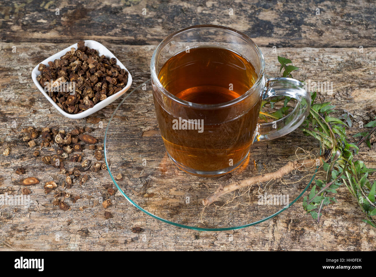 Löwenzahn-Tee, Heiltee, Kräutertee, Löwenzahn-Kaffee, Tee, Wurzeltee aus Gerösteten Wurzeln, Löwenzahn-Wurzel, Löwenzahn-Wurzeln, Löwenzahnwurzel, Löw Stockfoto