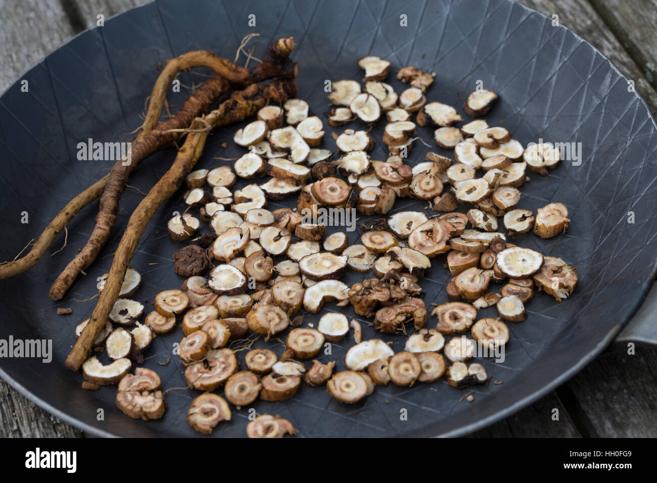 Löwenzahn-Wurzeln, Löwenzahnwurzel, Löwenzahnwurzeln, Wiesen-Löwenzahn, Löwenzahn-Wurzel, Radix Taraxaci, Taraxaci Radix, Zerkleinerte Wurzeln werden Stockfoto