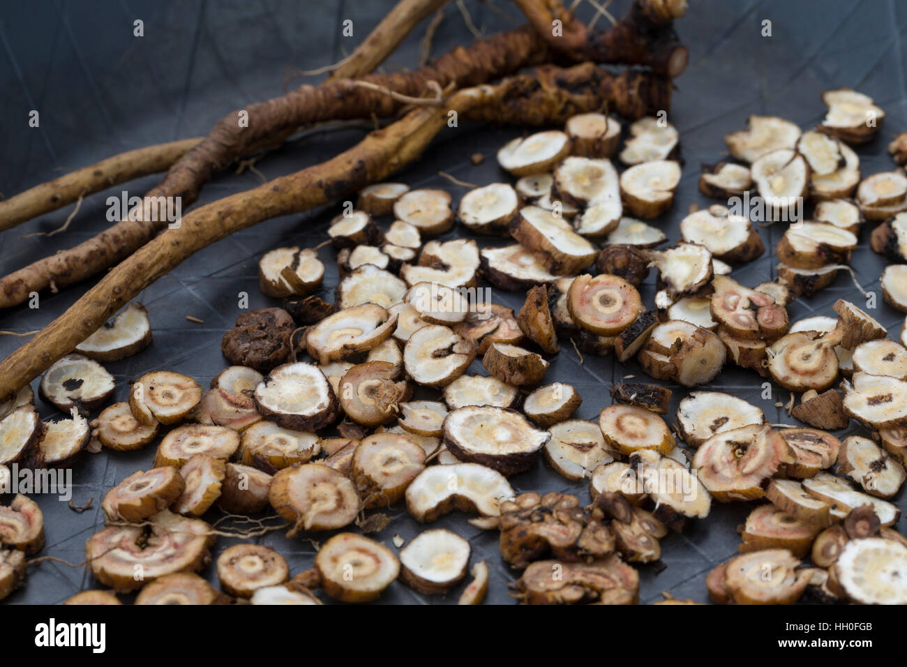 Löwenzahn-Wurzeln, Löwenzahnwurzel, Löwenzahnwurzeln, Wiesen-Löwenzahn, Löwenzahn-Wurzel, Radix Taraxaci, Taraxaci Radix, Zerkleinerte Wurzeln werden Stockfoto