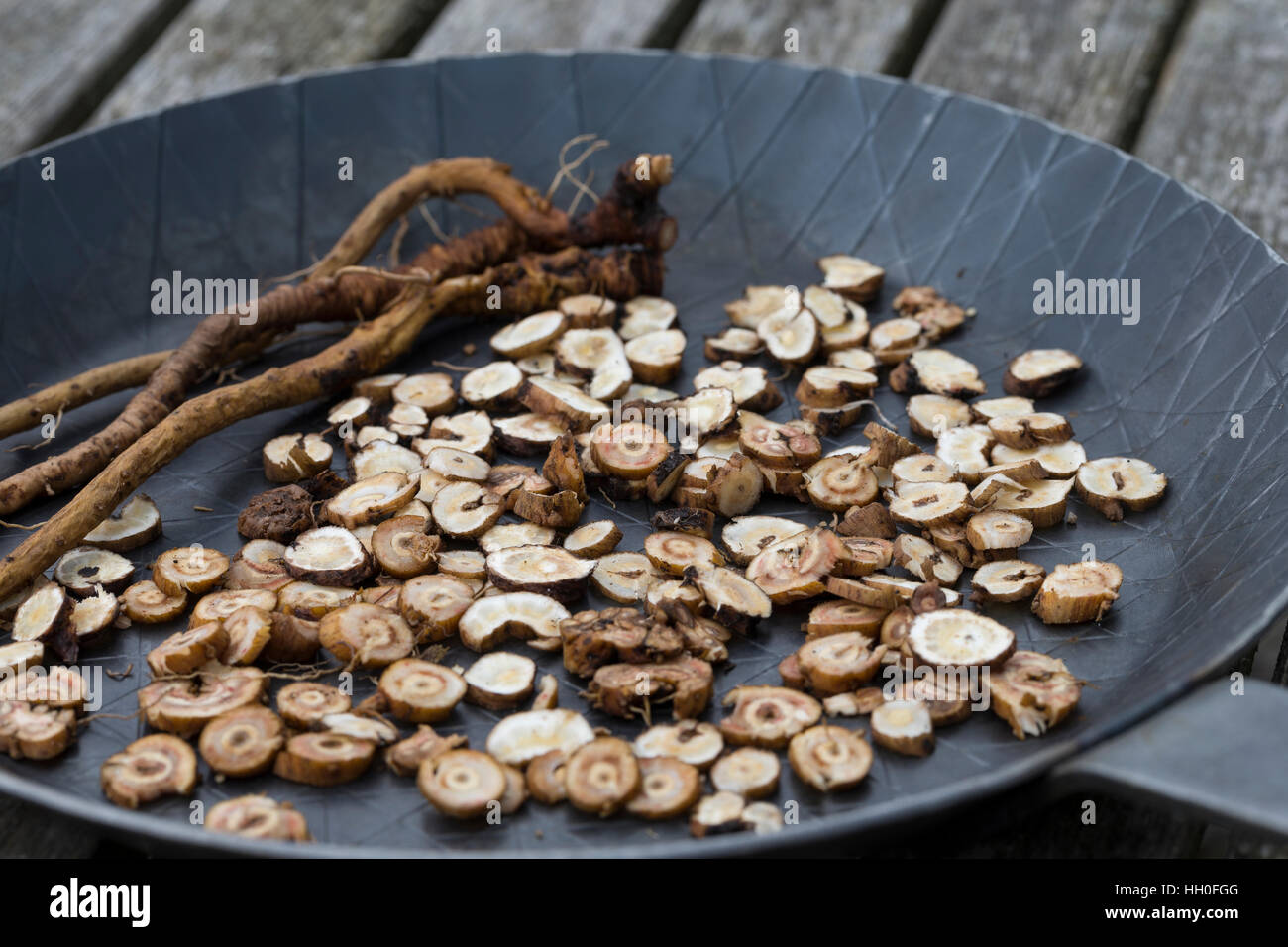 Löwenzahn-Wurzeln, Löwenzahnwurzel, Löwenzahnwurzeln, Wiesen-Löwenzahn, Löwenzahn-Wurzel, Radix Taraxaci, Taraxaci Radix, Zerkleinerte Wurzeln werden Stockfoto
