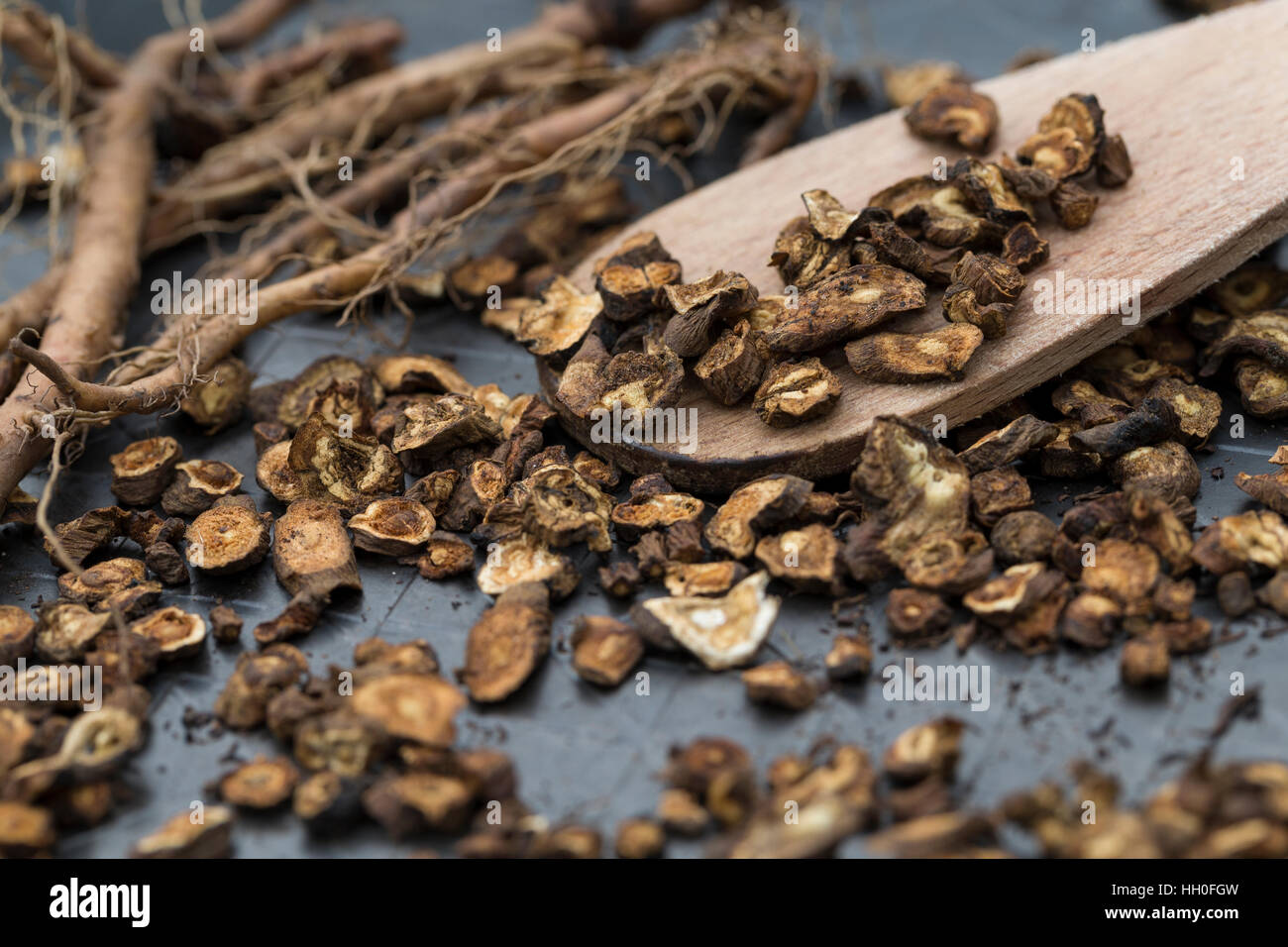 Löwenzahn-Wurzeln, Löwenzahnwurzel, Löwenzahnwurzeln, Wiesen-Löwenzahn, Löwenzahn-Wurzel, Radix Taraxaci, Taraxaci Radix, Zerkleinerte Wurzeln werden Stockfoto