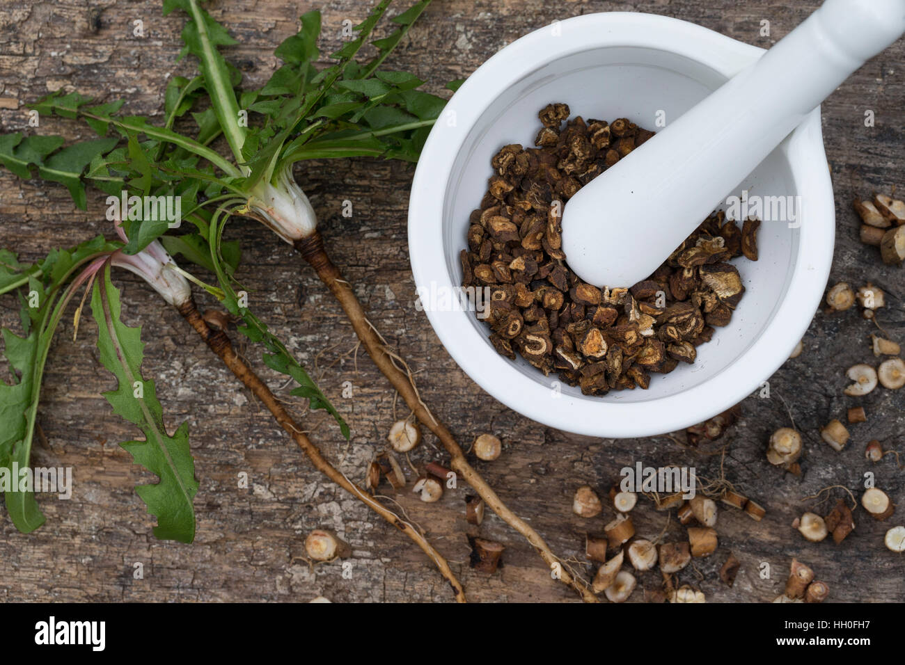 Löwenzahn-Wurzeln, Löwenzahnwurzel, Löwenzahnwurzeln, Wiesen-Löwenzahn, Löwenzahn-Wurzel, Radix Taraxaci, Taraxaci Radix, Zerkleinerte Und Geröstete W Stockfoto