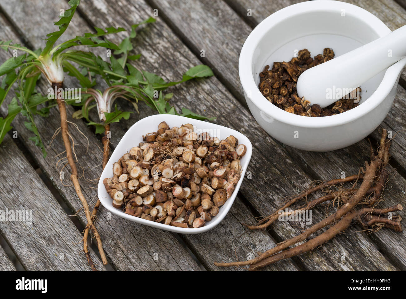 Löwenzahn-Wurzeln, Löwenzahnwurzel, Löwenzahnwurzeln, Wiesen-Löwenzahn, Löwenzahn-Wurzel, Radix Taraxaci, Taraxaci Radix, Zerkleinerte Und Geröstete W Stockfoto
