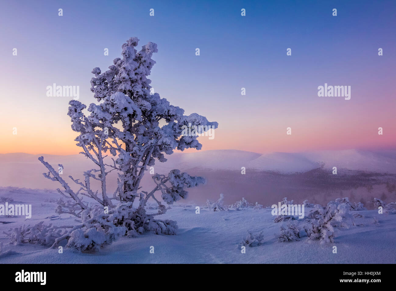 Trüben Abend im Urho Kekkonen Nationalpark Stockfoto
