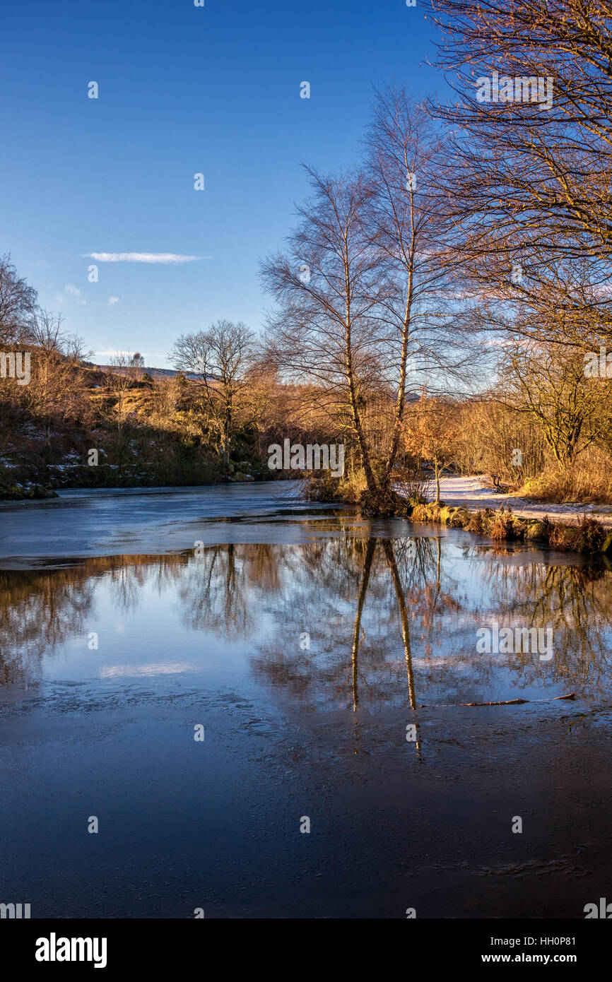Winterszene: Teilweise gefrorener Teich am Rand von Ilkley Moor mit Spiegelungen eines Baumes, Ilkley, West Yorkshire, England, Großbritannien Stockfoto