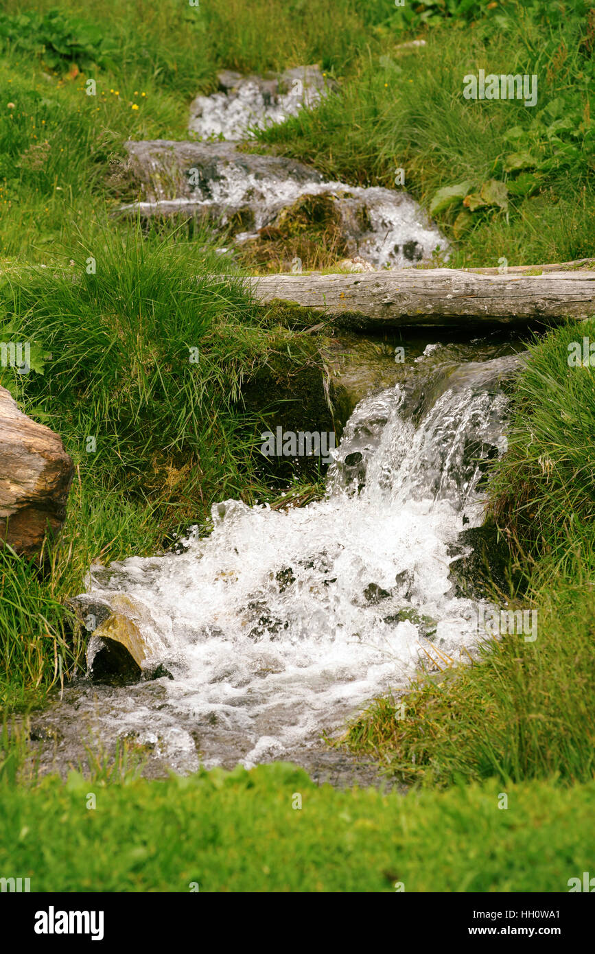 Nahaufnahme der Strom fließt über den Felsen, umgeben von grünen Rasen Stockfoto