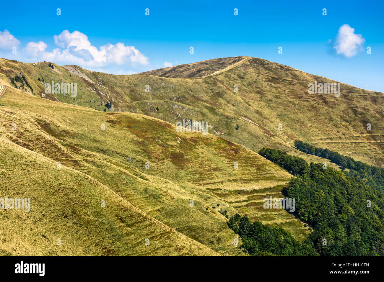 Polonyna Krasna Range der Karpaten mit seinen Gipfeln, Hügeln, Wiesen und Wälder unter dem blauen Himmel mit Wolken im Spätsommertag Stockfoto