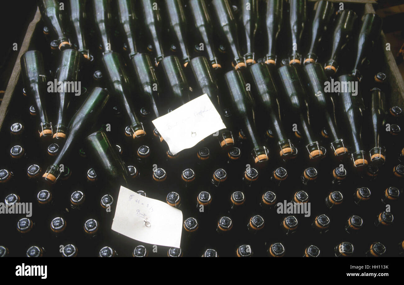 Champagner Reims Flaschen warten für die Kennzeichnung und Verteilung von einem der Hauptproduzent Champagner Stockfoto