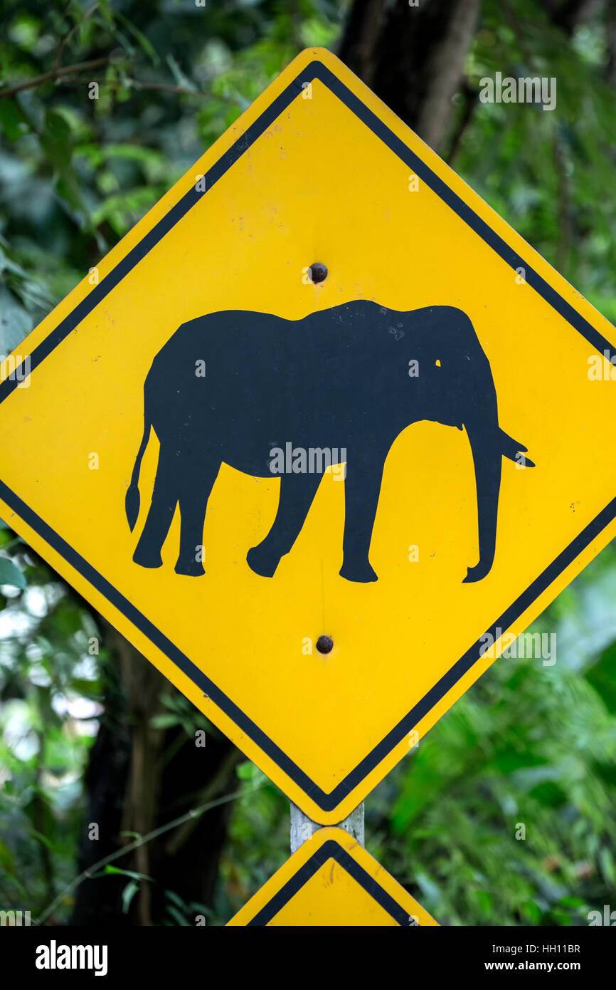 Elefanten durchqueren unterzeichnen, Thai Elephant Home Elefant Bauernhof, Keudchang Maetang, Chiang Mai, Thailand Stockfoto