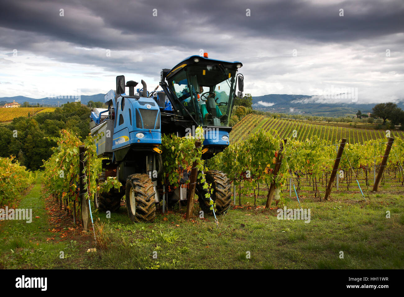 Ein neuer Holland Traube Mähdrescher bei der Arbeit in den Weinbergen rund um San Casciano in Val di Pesa in Toskana, Italien. Stockfoto