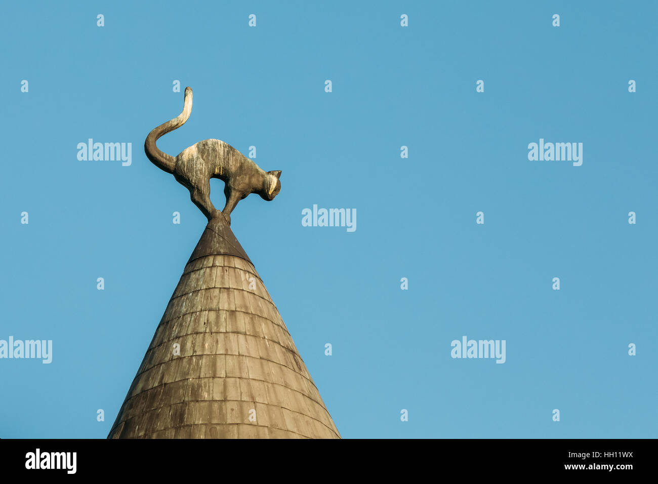 Riga, Lettland. Schließen Sie die Ansicht der Skulptur von schwarze Katze mit gewölbten Rücken und erhöhten Tail auf dem Turm Kegel Dach des Katzenhaus, Wahrzeichen auf B Stockfoto