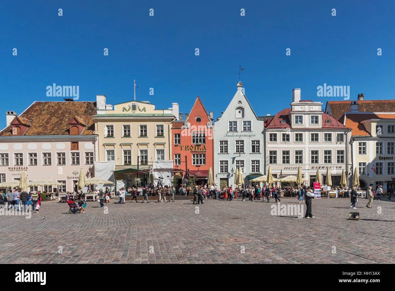 Der Rathausplatz (Raekoja Plats) befindet sich in der Altstadt von Tallinn, Estland, Baltikum, Europa Stockfoto