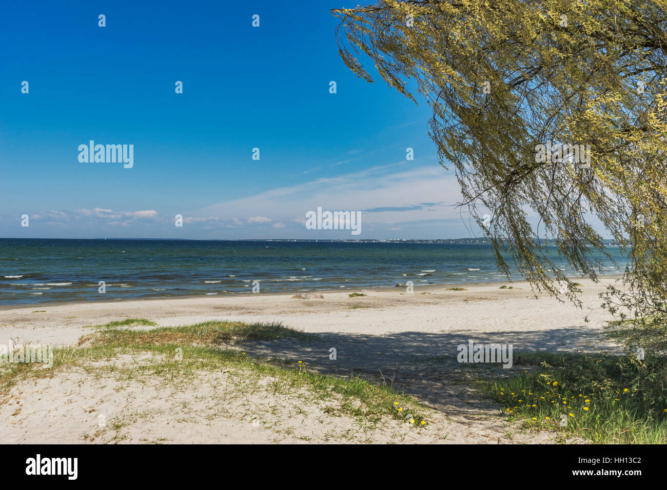 Strand der Ostsee im Frühling, Tallinn, Estland, Baltikum, Europa Stockfoto