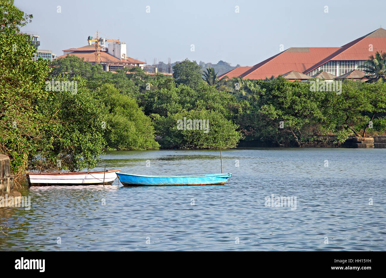 Zwei Land Angelboote/Fischerboote verankert in Mangroven-See in Panjim, Goa Stockfoto
