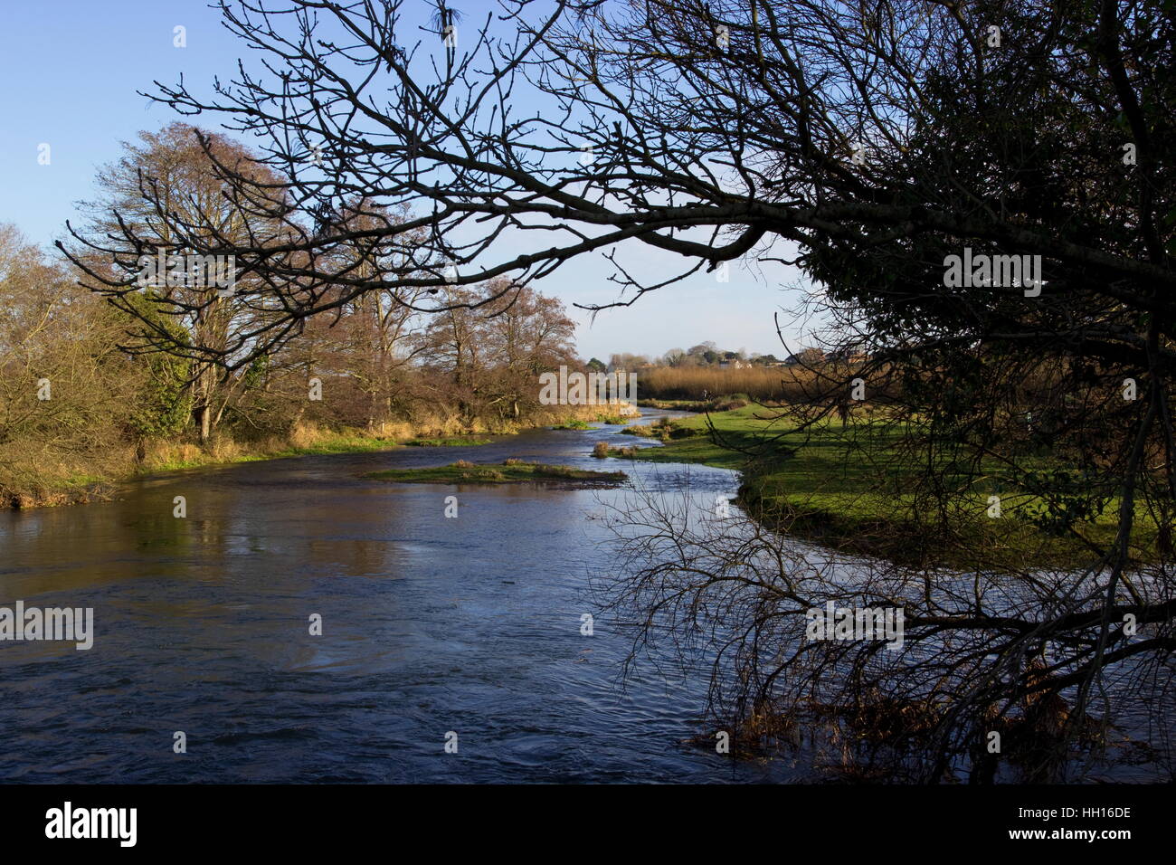 Fluss pinkeln oder Trient von Wareham Wald Weg im Winter Wareham Dorset Stockfoto
