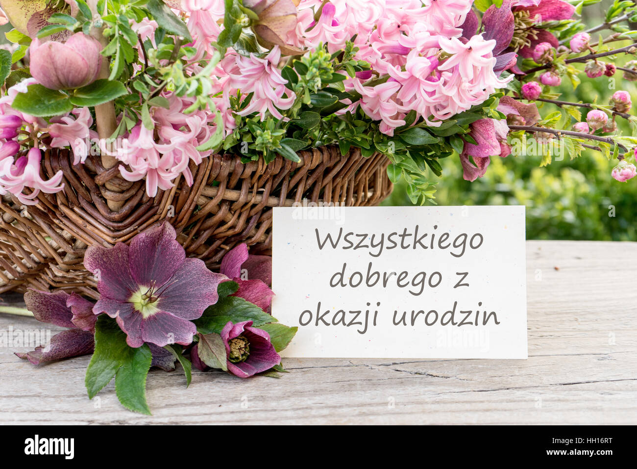 Polnische Geburtstagskarte mit Hyazinthen und dem Text: Herzlichen Glückwunsch zu deinem Geburtstag Stockfoto