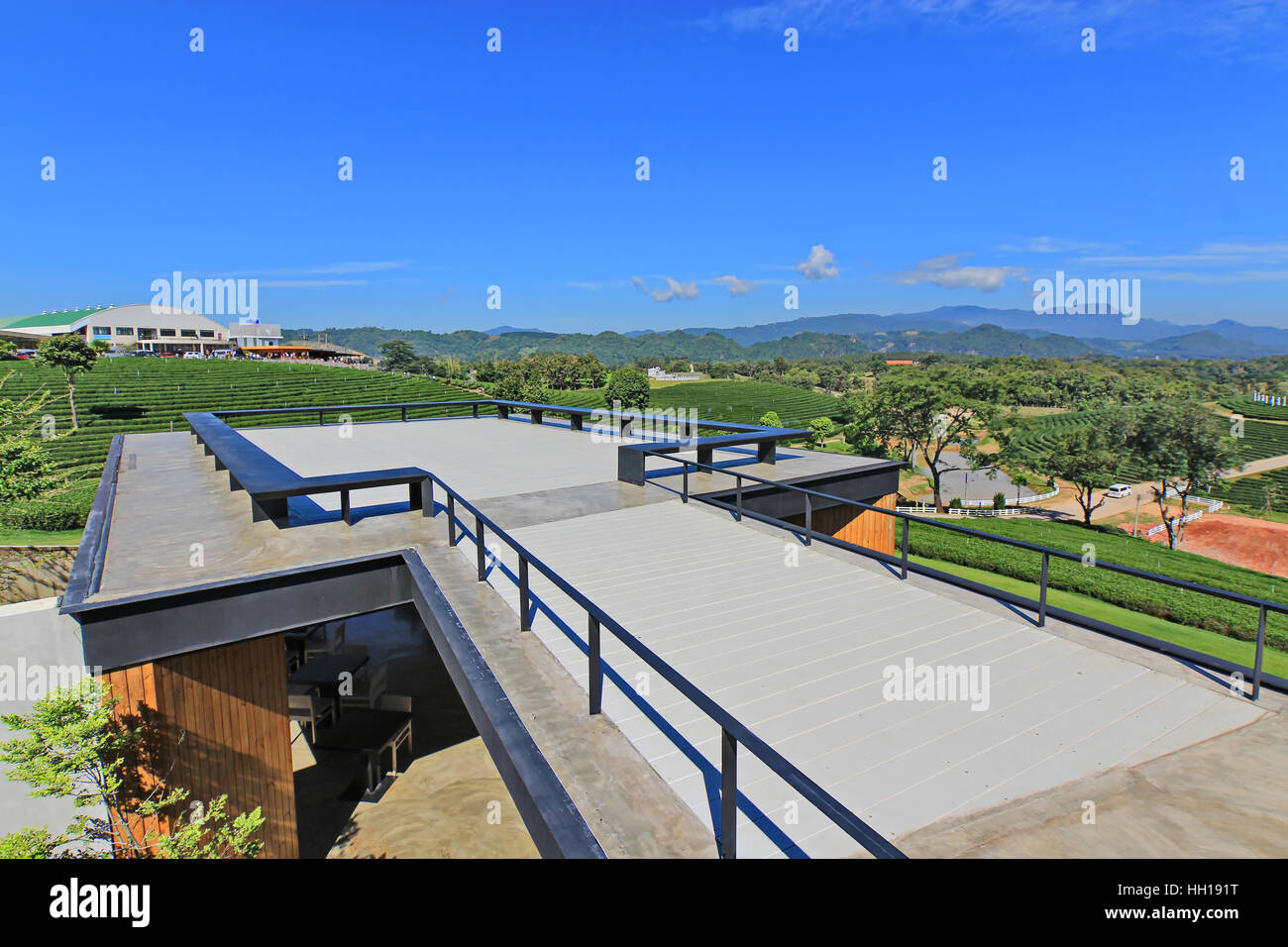 Lange Bank auf dem Dach Top Tee Pflanze und blauen Himmelshintergrund Stockfoto