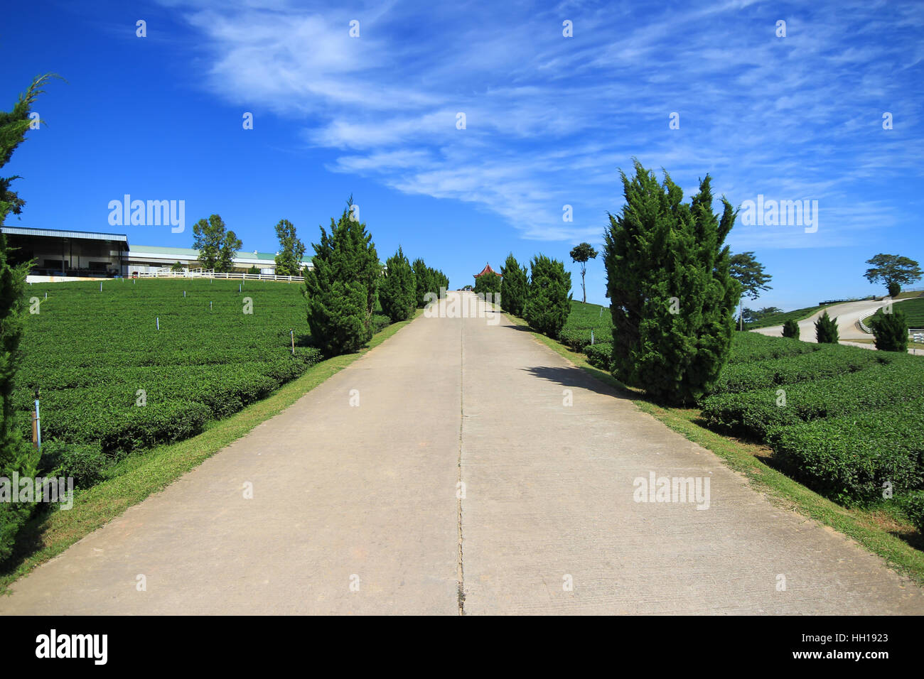 Straße auf den Hügel mit blauem Himmelshintergrund in Chiang Rai, Thailand Stockfoto