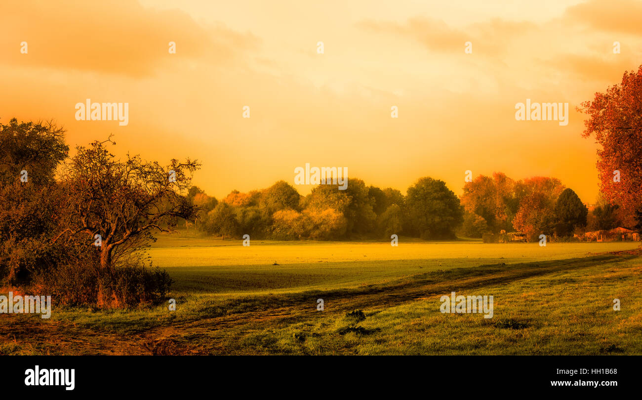 Vintage Style warmen Wasser - farbige idyllische Herbst Sonnenaufgang über einem ländlichen friedliche Landschaft Feld mit Bäumen, Wolken, Eindruck, Malerei Stil Stockfoto