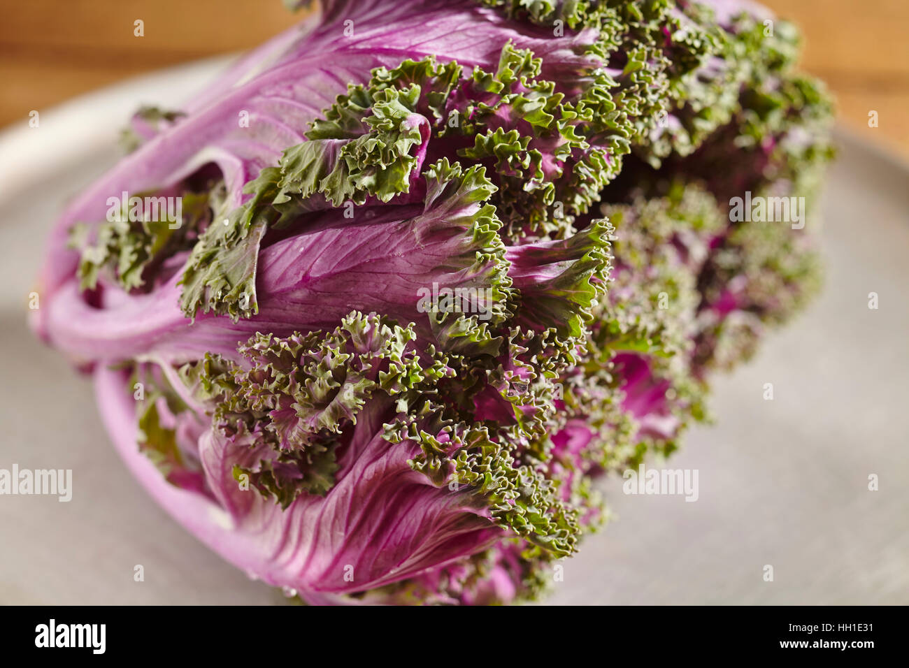 Rohe, frische lila Kohl, eine saisonale Wintergemüse Stockfoto