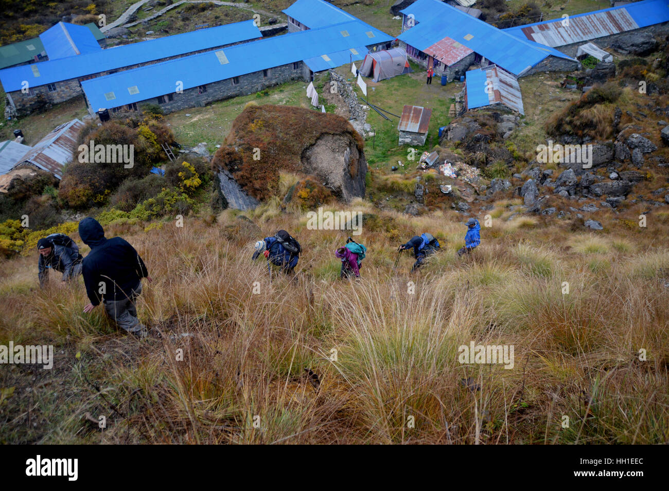 Trekker klettern über Machhapuchhre Base Camp (MBC) in der Annapurna Sanctuary, Himalaya, Nepal, Asien. Stockfoto