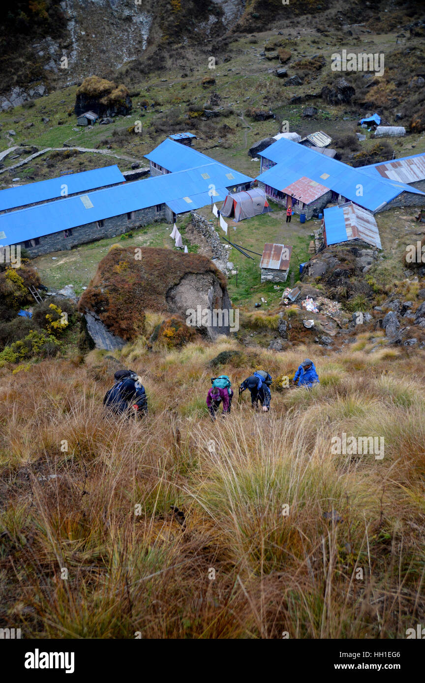 Trekker klettern über Machhapuchhre Base Camp (MBC) In der Annapurna Sanctuary, Himalaya, Nepal, Asien. Stockfoto