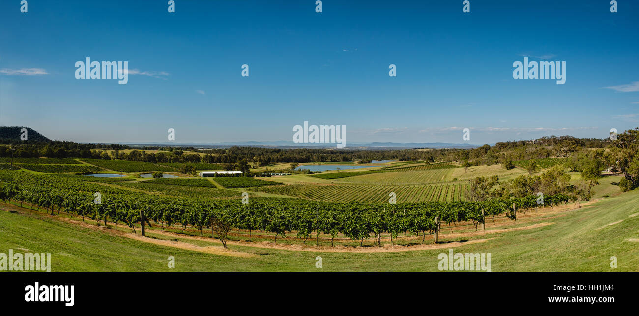 Weinberge und die Landschaft in der Nähe von Cessnock, Hunter Valley Stockfoto