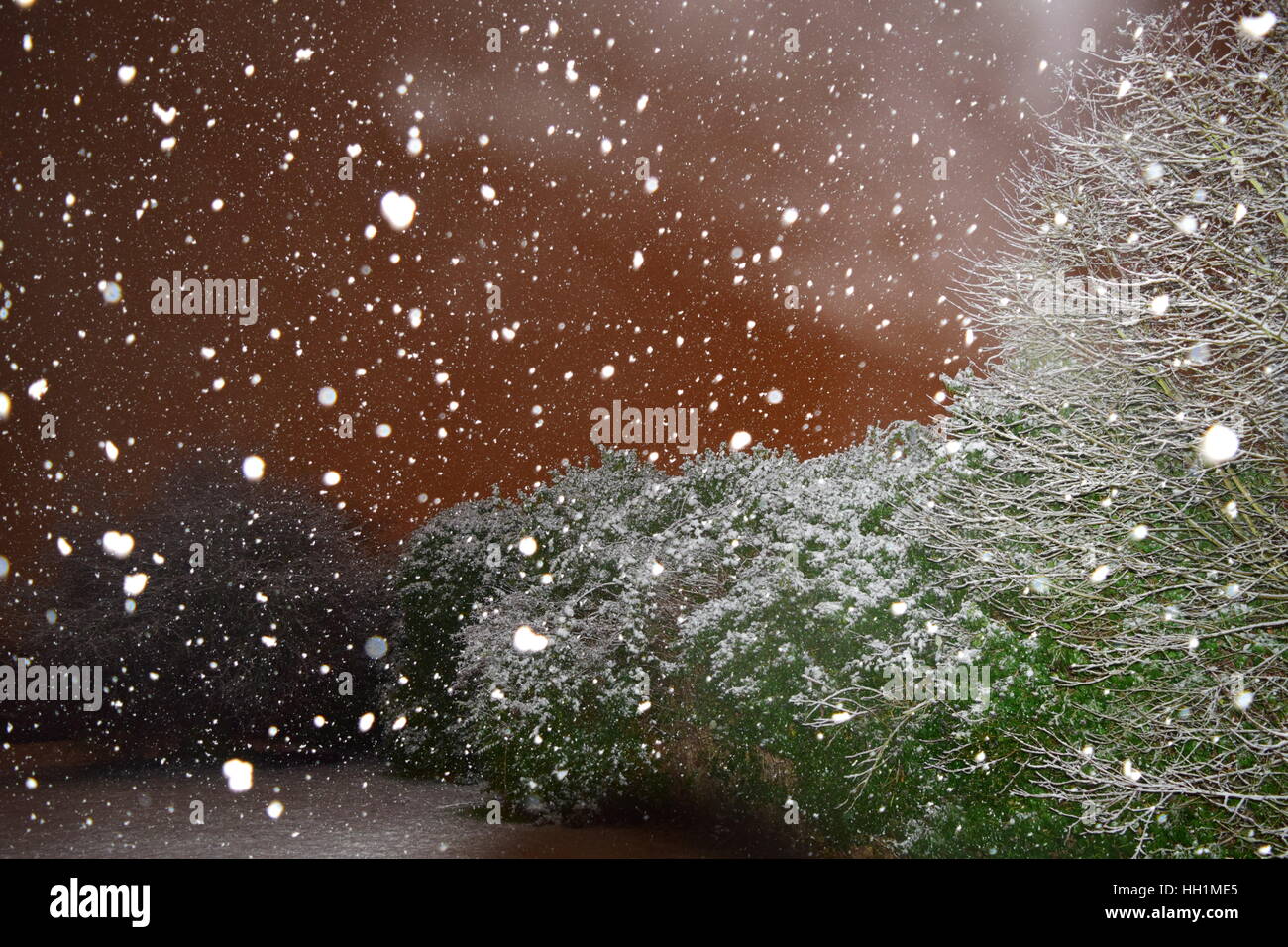 lassen Sie es Schnee!! Schneefall in kent Stockfoto