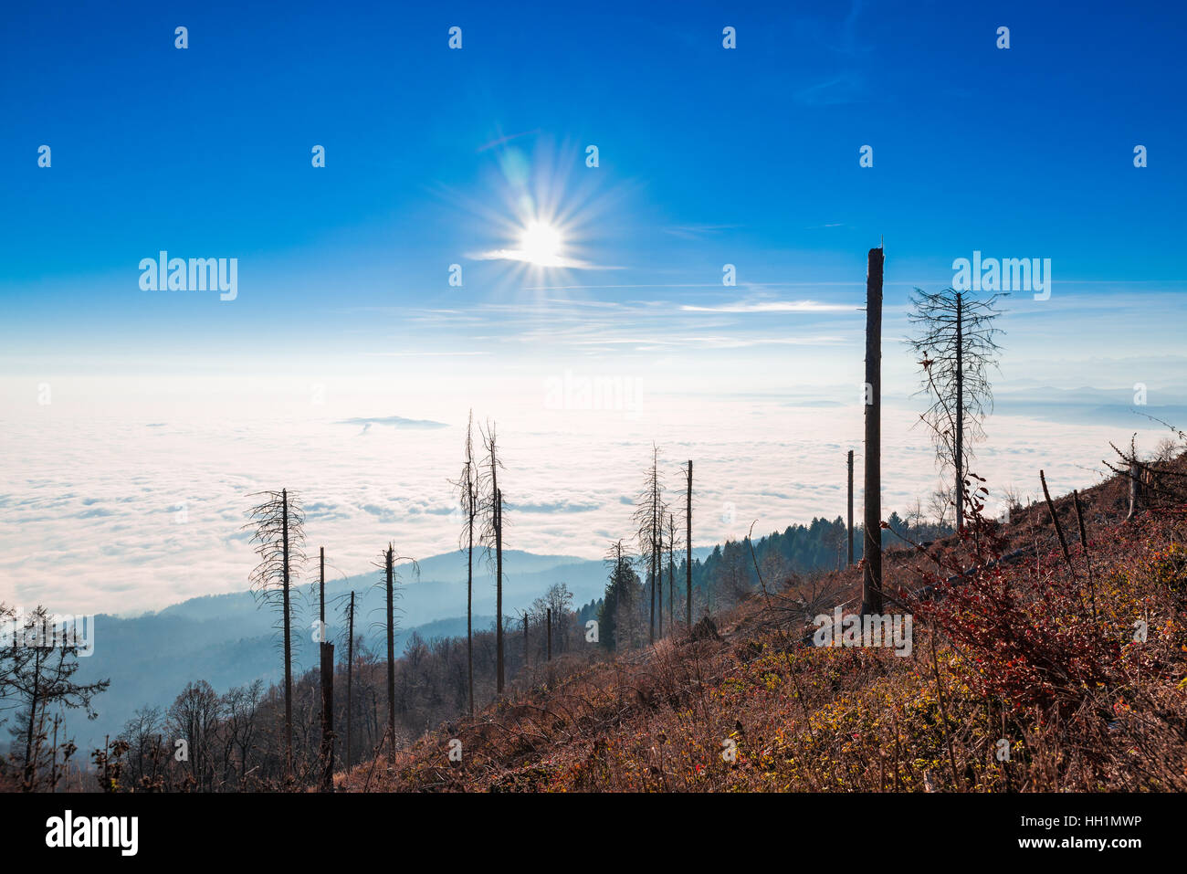 Hintergrundbeleuchtung, gegen die Sonne. Panorama mit Wolken und niedrigen Nebel gegen die Sonne, gesehen vom Campo dei Fiori von Varese, Italien Stockfoto