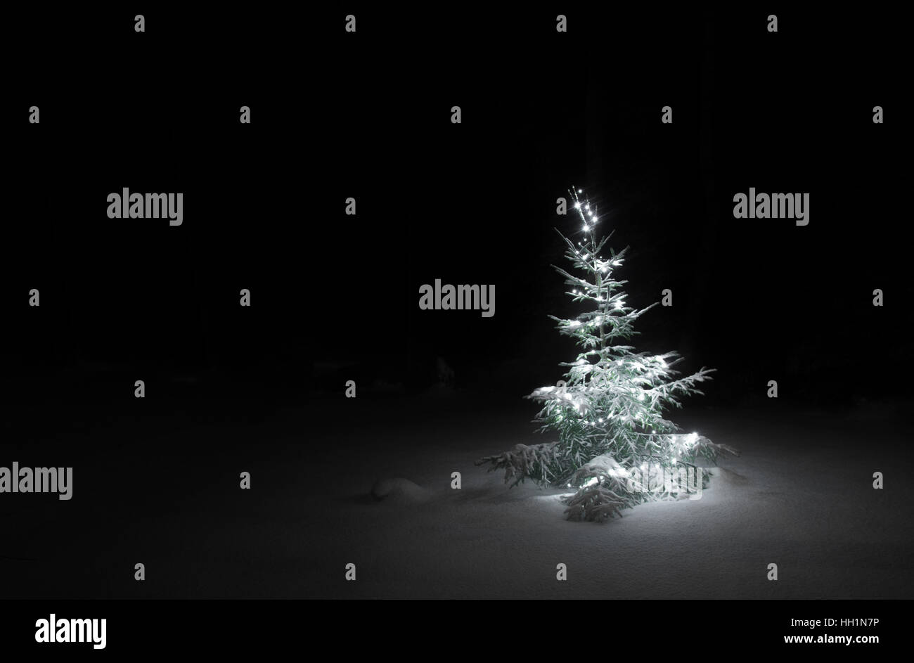 Weihnachtsbaum draußen im Dunkeln Stockfoto