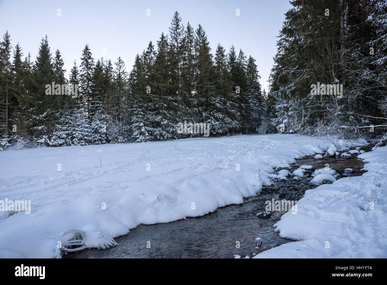 Od Winterwald mit kleiner Bach-Landschaft Stockfoto